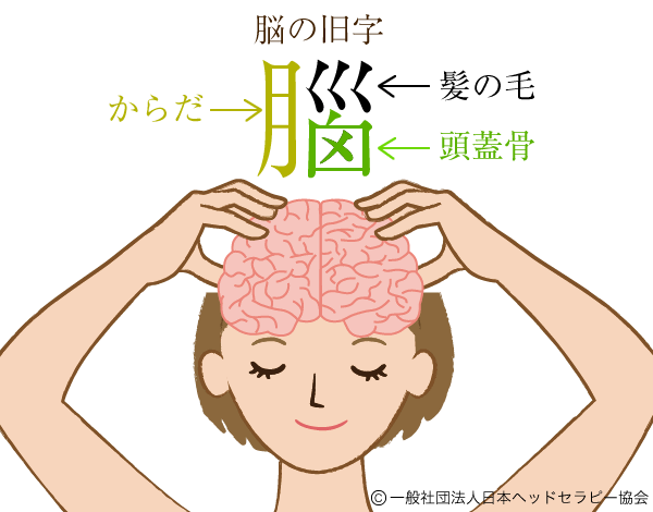 脳という漢字の由来
