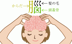 脳という漢字の由来