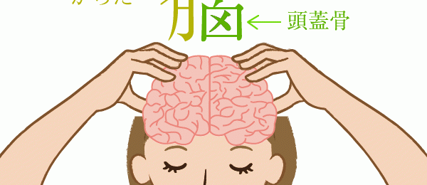 脳という漢字の由来