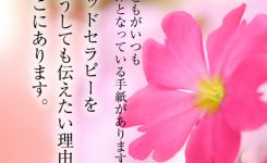 ヘッドセラピーをどうしても伝えたい理由がここにあります。