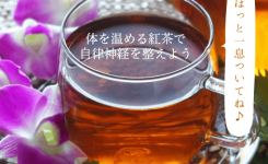 体を温める紅茶で自律神経を整えよう！