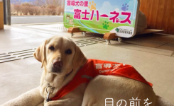 目の前を大切にする