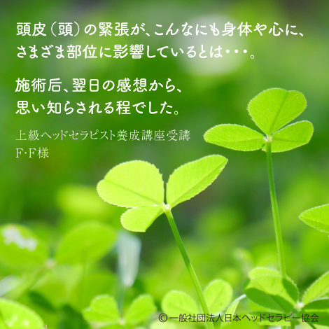 頭皮（頭）の緊張が、こんなにも身体や心に、さまざま部位に影響しているとは・・・。施術后、翌日の感想から、思い知らされる程でした。