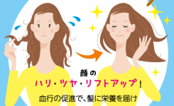 ヘッドセラピー晴れやかブラッシングセミナー