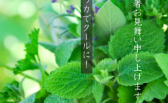 夏はハッカでクールに！