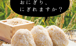 おいしそうなおにぎり、にぎれますか？
