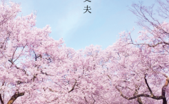 大丈夫