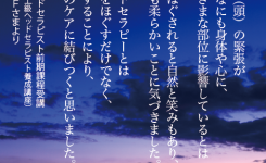 受講生の声（課題を終えて）