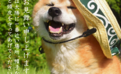 暑中お見舞い申し上げます