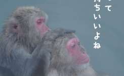 頭って気持ちいいよね