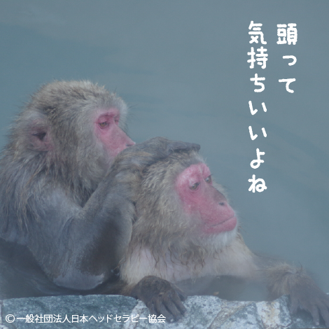 頭って気持ちいいよね